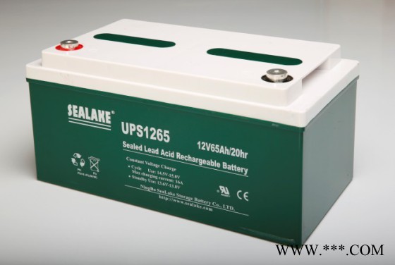 海湖SEALAKE蓄电池FM12750/12V75AH UPS蓄电池 风力发电 太阳能储备电源 消防机房应急电源图6