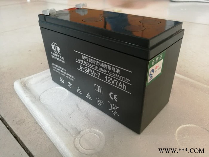 双登蓄电池 6-GFM-75/12V75AH铅酸免维护蓄电池 UPS/EPS不间断电源 风力发电储备电源 应急消防图3