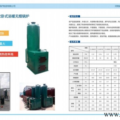 河南省恒信锅炉供应 生物质锅炉CWHB-0.7-0.7