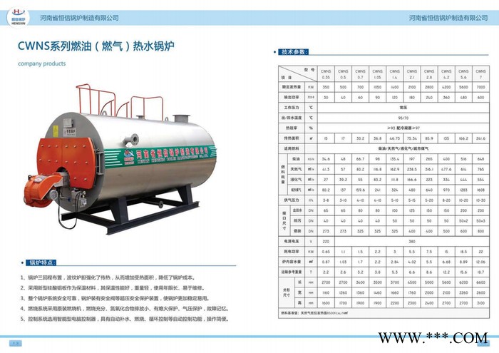 河南省恒信锅炉供应 生物质锅炉CWHB-0.7-0.7图3