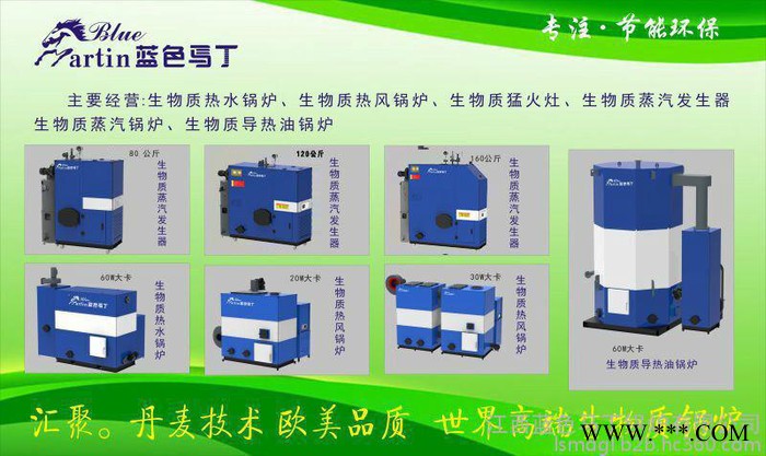 生物质锅炉“蓝色马丁”品牌　洗浴　取暖　整烫 洗涤