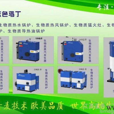 供应生物质锅炉　　蓝色马丁ＣＷＨＳ-0.7　60万大卡热水锅炉