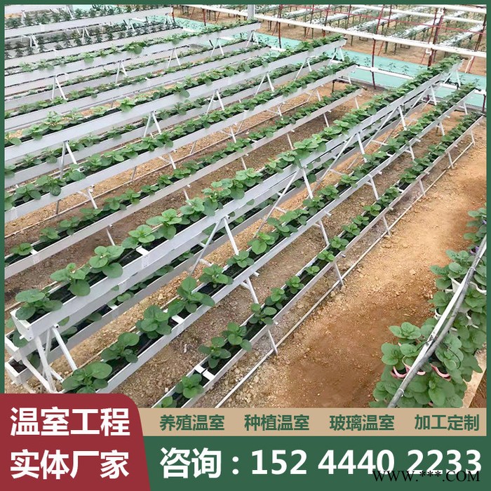 蔬菜大棚 华工光伏蔬菜大棚报价 厂家承接蔬菜温室  蔬菜大棚图2