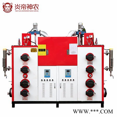 炎帝神农600kg/h 广西中立源蒸汽发生器免办证全自动水洗机600KG水洗厂印染厂工业生物质锅炉图2