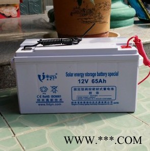 胶体蓄电池12V200AH 阀控式免维护胶体蓄电池200AH/12V 太阳能光伏蓄电池图2