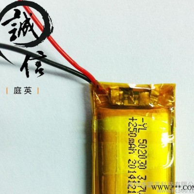 **502030-250mAh 聚合物高温锂电池  品牌干电池 锂电池定做