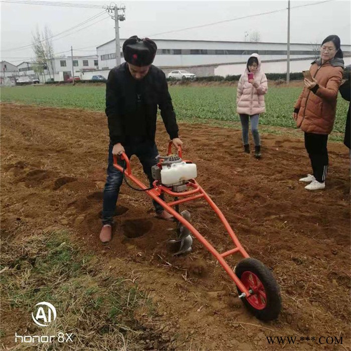 太阳能光伏打桩挖坑机   山东汽油种植钻眼机  果苗种植高效挖坑机视频