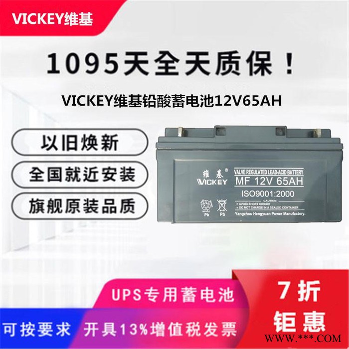 维基蓄电池MF12V200AH 12V200AH光伏发电 电厂消防设备 机房配电室 UPS电源电池 EPS直流屏蓄电池图4