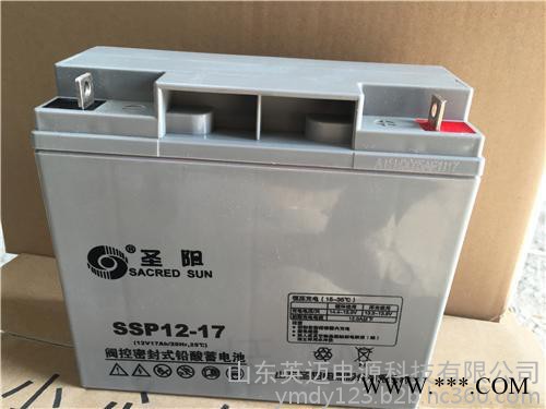 圣阳蓄电池SP12-38免维护蓄电池12V38AH 太阳能光伏发电专用储能蓄电池 通信电源内置48V电池 UPS专用