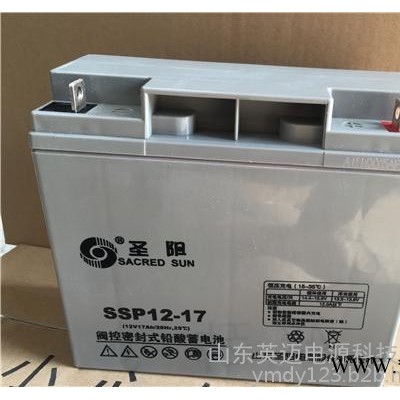 圣阳蓄电池SP12-38免维护蓄电池12V38AH 太阳能光伏发电专用储能蓄电池 通信电源内置48V电池 UPS专用