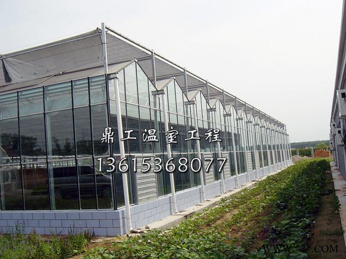 光伏智能温室 智能玻璃温室建设 鼎工温室工程建设团队图4