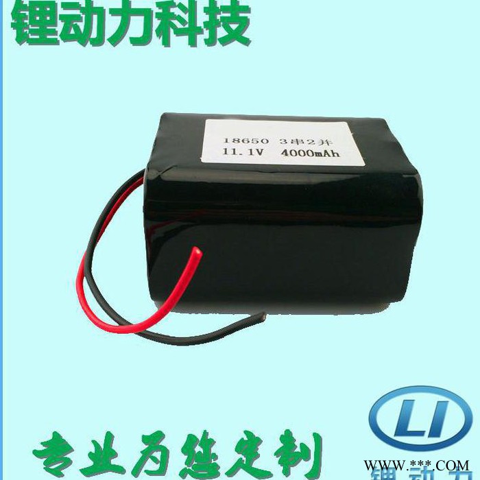 锂动力专业生产户外照明灯具锂电池12v4000mah 可用于钓鱼灯防爆灯等便携照明灯具