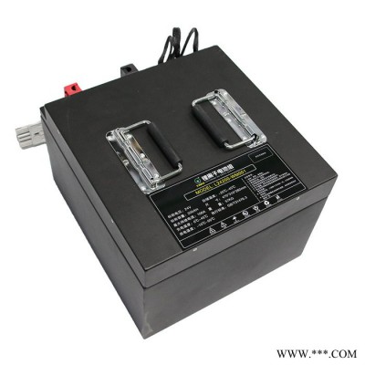 全裕科技驾驶式洗地机电池24V200Ah 洗地机锂电池组L24200-WM001配充电器 29.2V30A