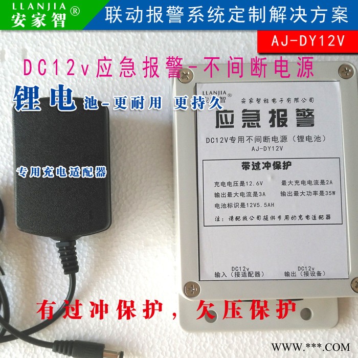 专用定制款/应急报警不间断电源DC12V蓄电池锂电池供电图1