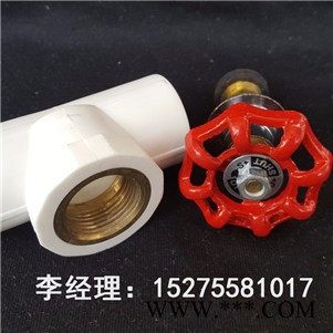 世纪龙芯西北厂家太阳能冷热水管_PPR水管材pp-r太阳能冷热水管图4