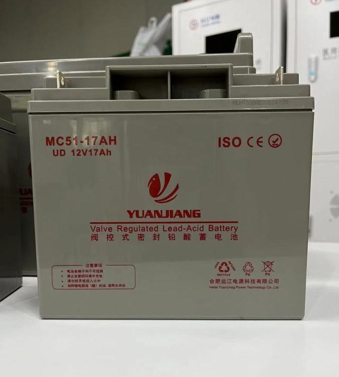 远江 UPS蓄电池 铅酸蓄 电池12V100AH/24AH/17/AH 蓄电 池规格齐全图2