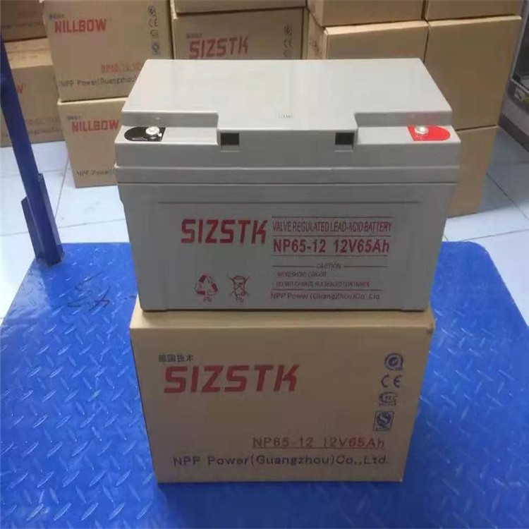 铅酸蓄电池12v65A H耐普蓄电池NP65-12 太阳能UPS电源专用蓄电池