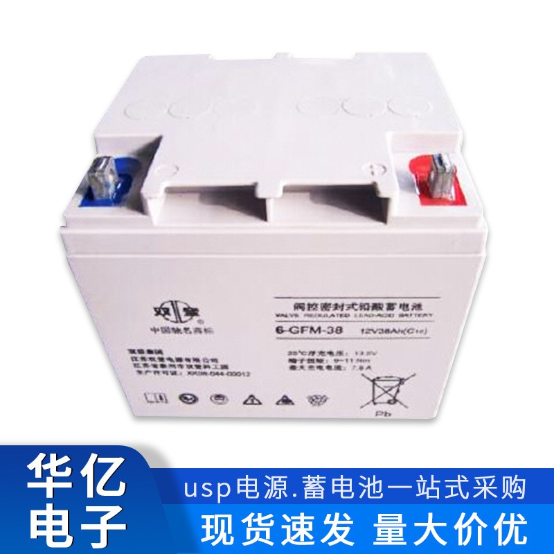 双登蓄电池12v100AH免维护铅酸蓄电池6-GFM-100通讯UPS/EPS直流屏