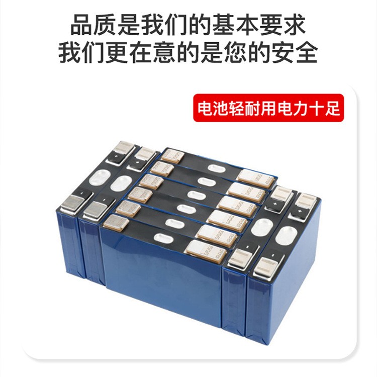 12V 佳明探鱼器筏钓灯专用户外锂电池 5VUSB手机充电照明电源图2