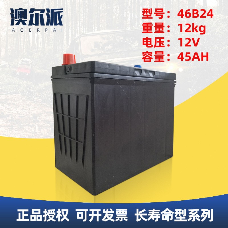 正品sail风帆46B24 12V45启动蓄电池 6QW60min汽车电瓶全国联保图1