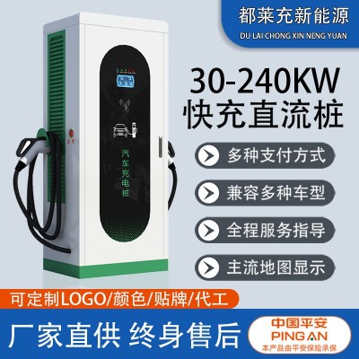 新能源汽车充电桩120/60kw双枪直流桩快充通用大功率商 用充电桩