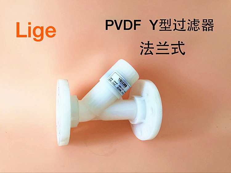 PVDF过滤器 Y型过滤器 耐腐蚀过滤器 聚四氟过滤器 管道过滤器图3