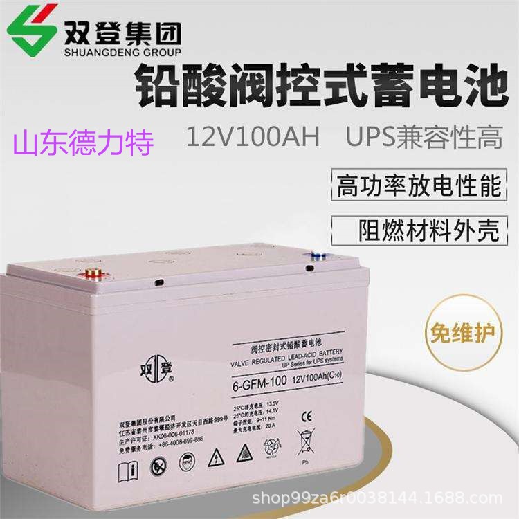 双登蓄电池6-GFM-100免维护12V100AH UPS/EPS/直流屏电源应急电瓶图2