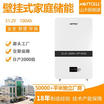 壁挂式储能24V/48V/51.2太阳能家庭储能 磷酸铁锂电池