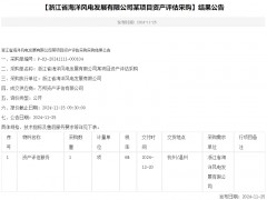 【浙江省海洋风电发展有限公司某项目资产评估采购】结果公告